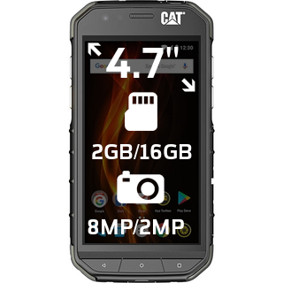 Cat S31