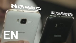 Buy Walton Primo EF6