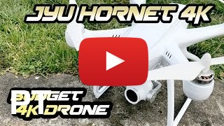 Comprar Jyu Hornet 2