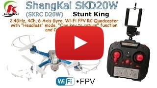 Buy SKRC D20w