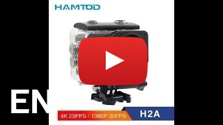 Buy HAMTOD H2A