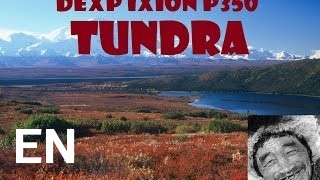 Buy DEXP Ixion P350 Tundra