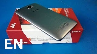 Buy Walton Primo NH2