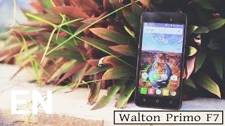Buy Walton Primo F7