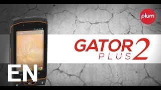 Buy Plum Gator 3