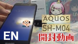 Buy Sharp Aquos Ever SH-02J