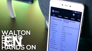 Buy Walton Primo RX5