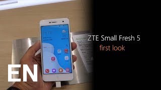 Buy ZTE Small Fresh 5