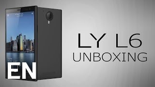 Buy LY L6
