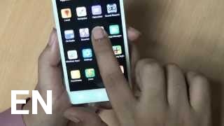 Buy Walton Primo X2