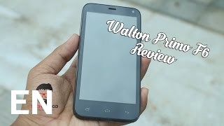 Buy Walton Primo F6