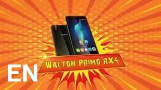 Buy Walton Primo RX4