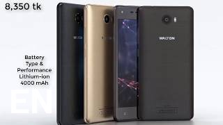 Buy Walton Primo GM2+