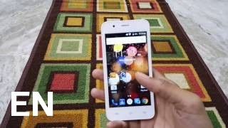 Buy Lava Iris Atom 2x