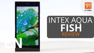 Buy Intex Aqua Fish