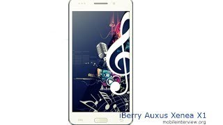 Buy iBerry Auxus Xenea X1