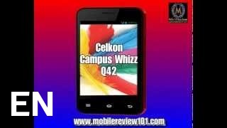 Buy Celkon Campus Whizz Q42