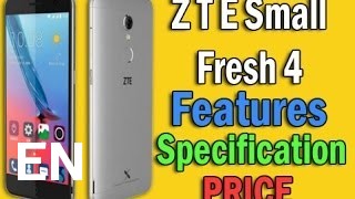Buy ZTE Small Fresh 3