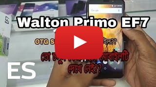 Comprar Walton Primo EF7