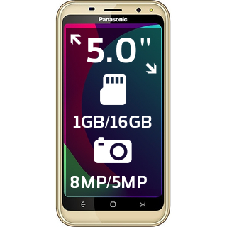 Panasonic P100