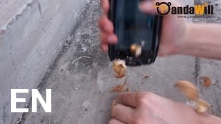 Buy Tengda Z6+