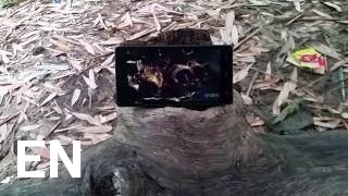 Buy Walton Primo RH